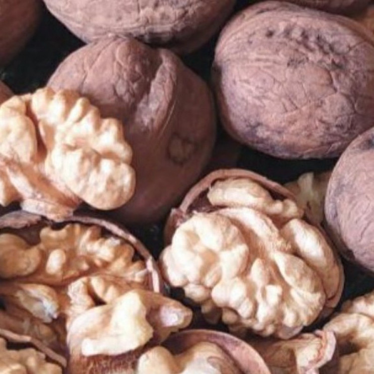 گردوی کاغذی با پوست درجه یک و ابخورده و چرب محصولات خانگی و درجه یک شیوا