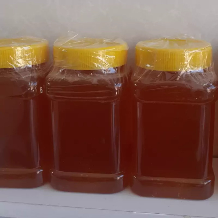 عسل کوهی با کیفیت عالی محصولات خانگی و درجه یک شیوا