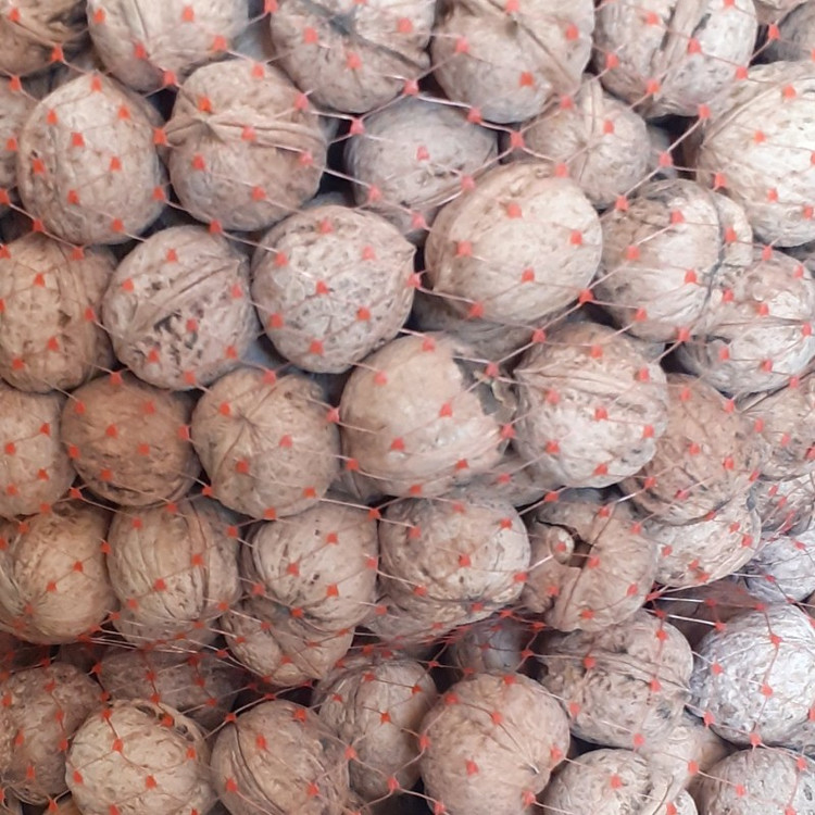 گردوی کاغذی با پوست درجه یک و ابخورده و چرب محصولات خانگی و درجه یک شیوا
