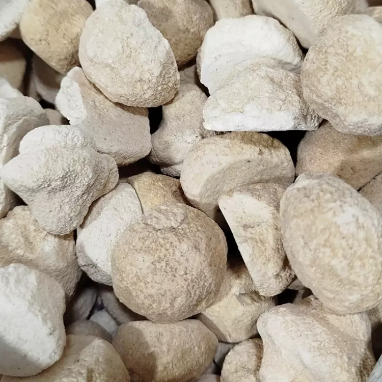 کشک مخلوط گاوی و گوسفندی نیم کیلویی محصولات خانگی و درجه یک شیوا