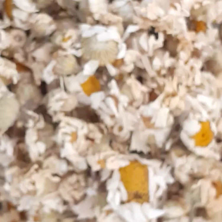 بابونه چشم گاوی امسالی با کیفیت عالی کیلویی (پس کرایه)