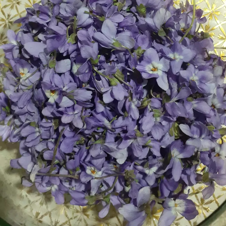 بنفشه ی خشک 10 گرمی امسالی