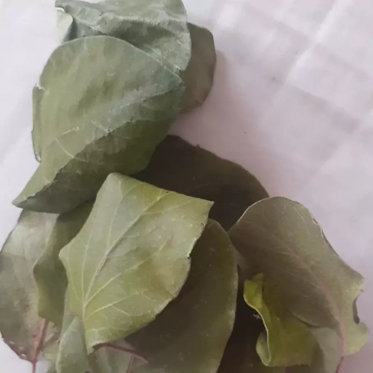 برگ به 50 گرمی با بهترین کیفیت محصولات خانگی و درجه یک شیوا