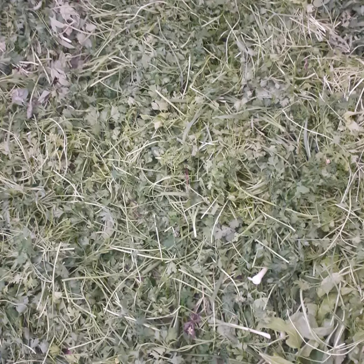 سبزی قورمه سبزی سرخ شده و امسالی و تازه نیم کیلویی ارسال به سراسر کشور