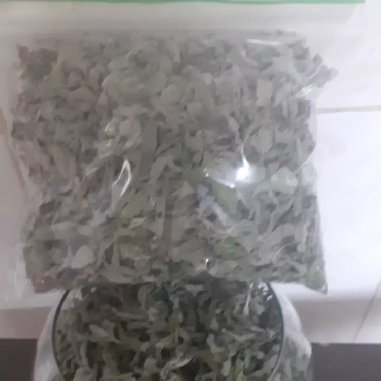 پونه ی کوهی تازه