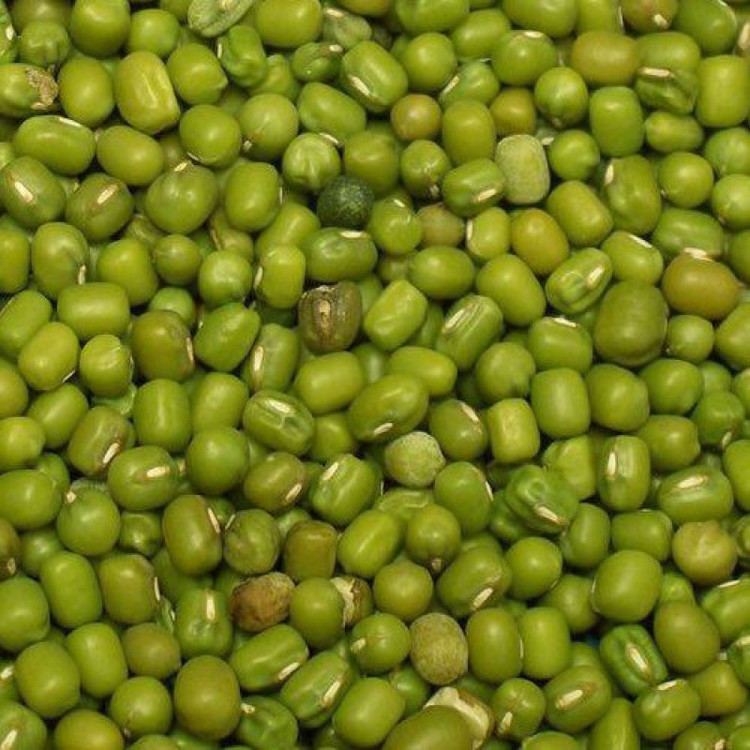 ماش سبز محصولات خانگی و درجه یک شیوا