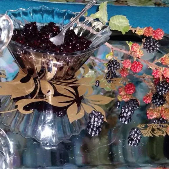 مربای تمشک جنگلی محصولات خانگی و درجه ی یک شیوا