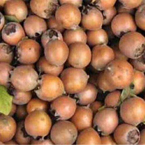 رب ازگیل جنگلی درجه یک محصولات خانگی و درجه یک شیوا