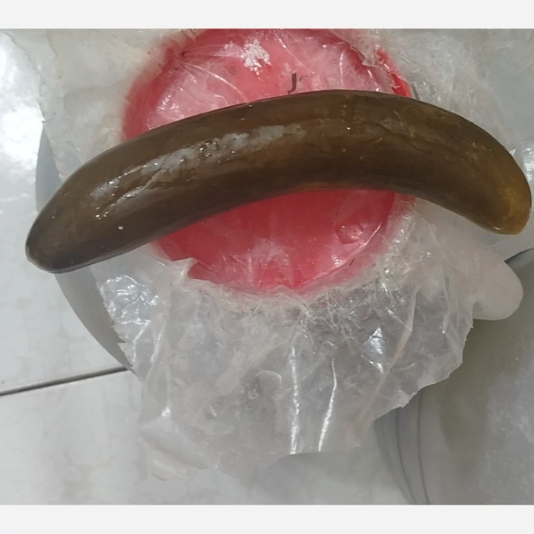 خیار شور دبه ای محصولات خانگی درجه یک شیوا (پس کرایه)